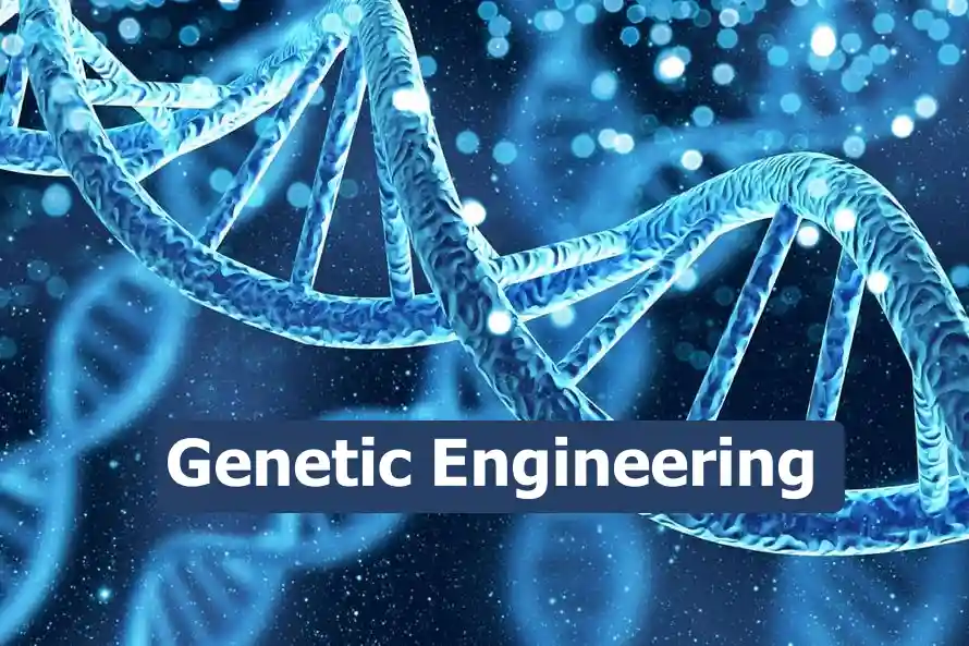 Genetic Engineering
